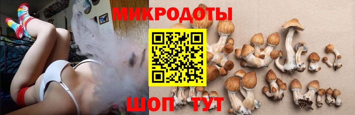 Псилоцибиновые грибы GOLDEN TEACHER  Вход с VPN  Янаул 